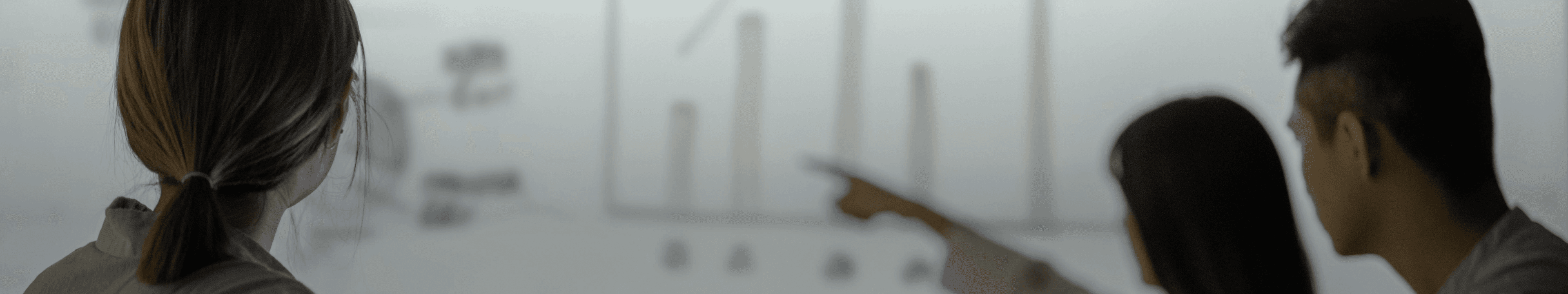 pageIntroBanner
