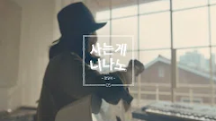 페이코 2017 TV 광고(1) 이미지
